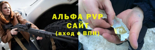 крисы Белокуриха