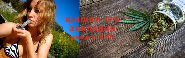 крисы Белокуриха