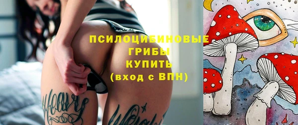 крисы Белокуриха