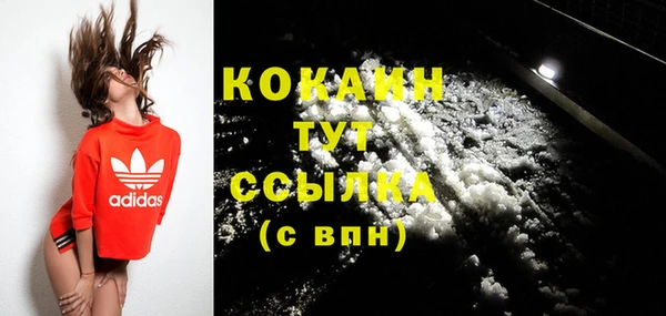 крисы Белокуриха