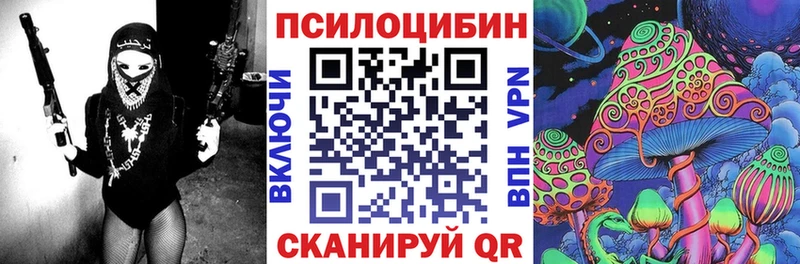 закладки  Цимлянск  Псилоцибиновые грибы Cubensis 