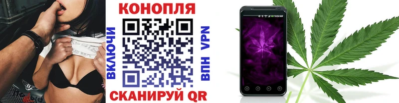 Марихуана Amnesia дарк нет какой сайт Цимлянск